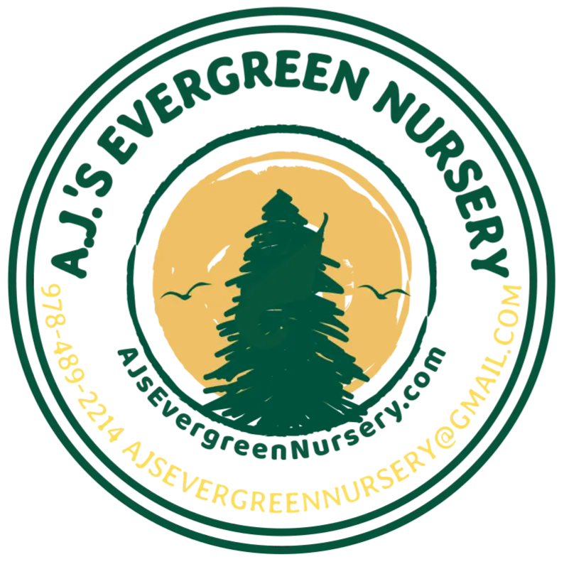 AJ's Evergreen Nursery